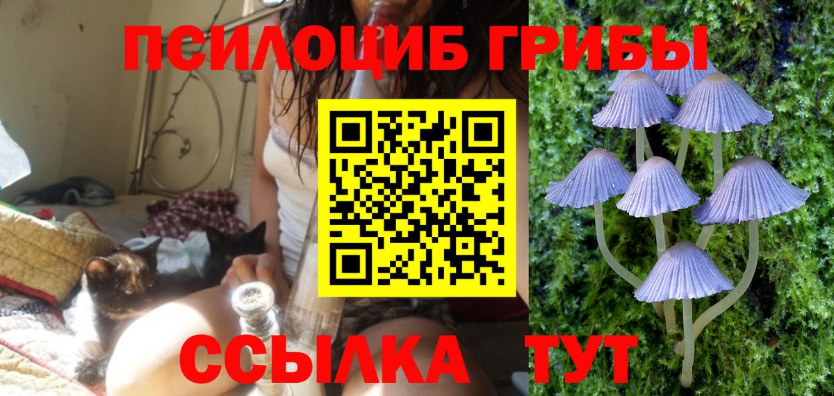 Щёлково  Галлюциногенные грибы мицелий  продажа наркотиков  Вход с VPN 
